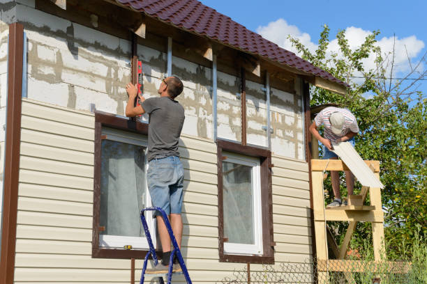 Best Siding Painting and Refinishing  in Brandon, SD